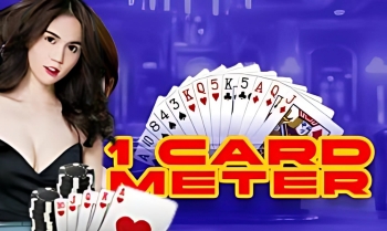 Fairplay 1 Card Meter